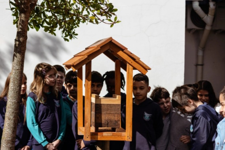 Escola municipal passa a integrar projeto de preservação das abelhas