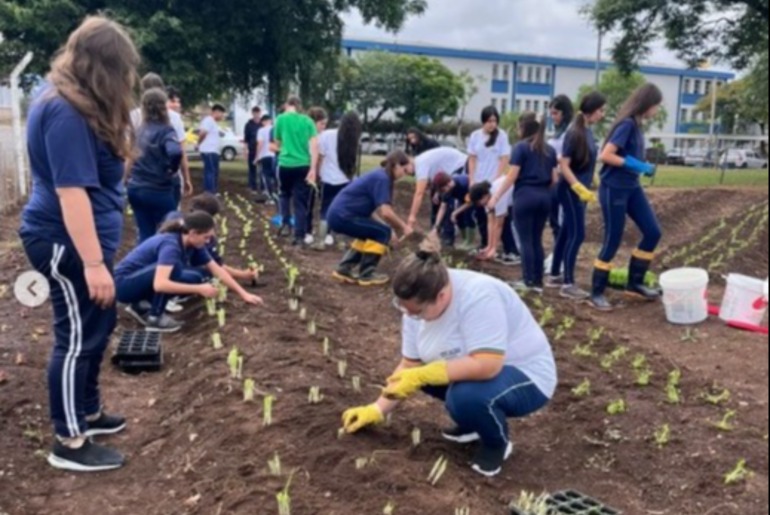 Colégio São Tiago de Farroupilha alia educação e sustentabilidade em projeto de horta e compostagem