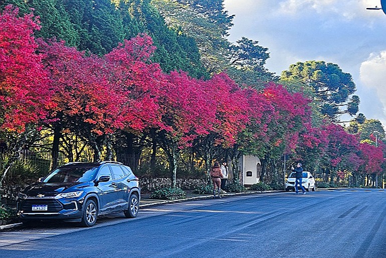 Nova Petrópolis se transforma em cenário perfeito para viver o inverno gaúcho