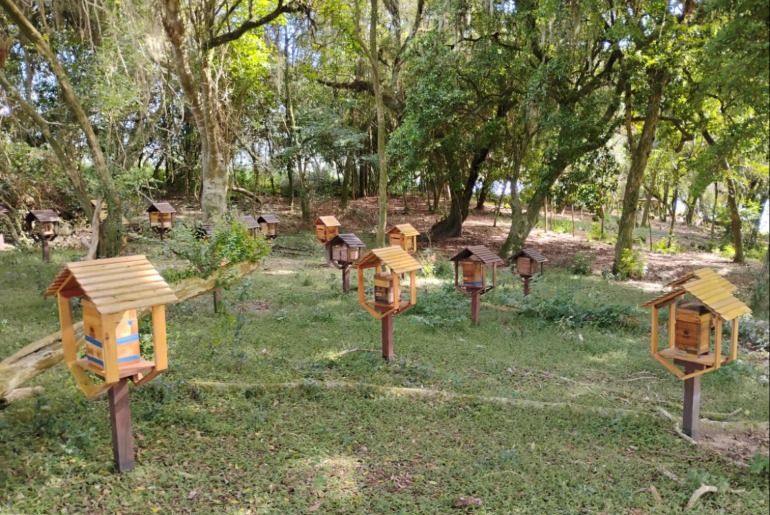 Declaração de Rebanho passa a incluir abelhas sem ferrão e fortalece a meliponicultura no RS