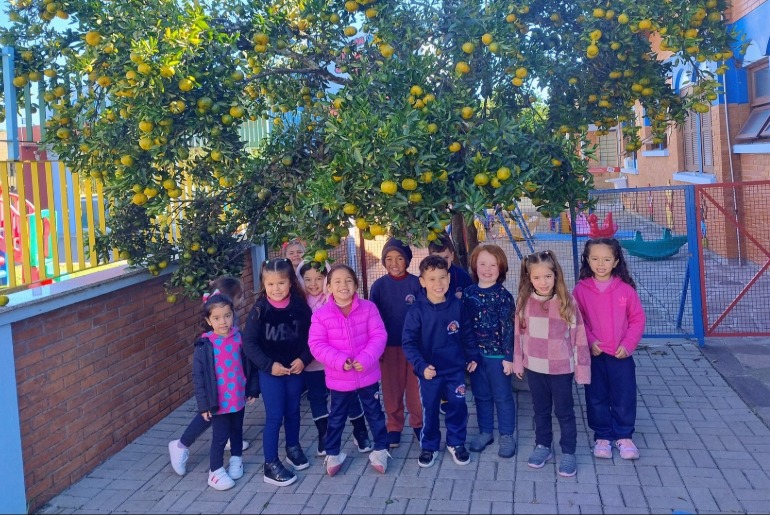 Bergamotas rendem aprendizado e solidariedade na Educação Infantil