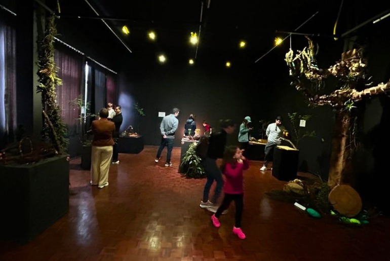 Exposição na UCS chama a atenção para a preservação da mata de araucária