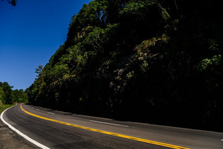 CSG lança projeto para prevenir atropelamentos durante o inverno nas rodovias do Vale do Caí e Serra Gaúcha
