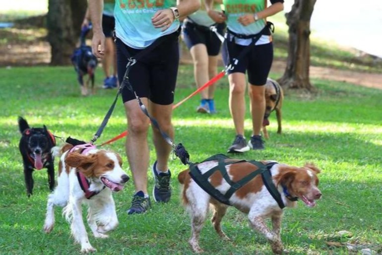 Patas Run une esporte, solidariedade e causa animal em primeira edição