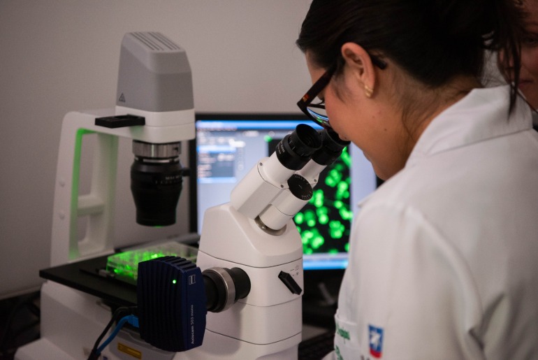 Universidade de Caxias do Sul é destaque na categoria Ensino & Pesquisa do 22º Campeãs da Inovação