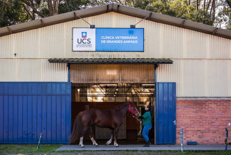 Alunos de Medicina Veterinária da UCS fazem estágio na Expointer 2026