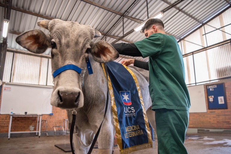 Alunos de Medicina Veterinária da UCS fazem estágio na Expointer 2026