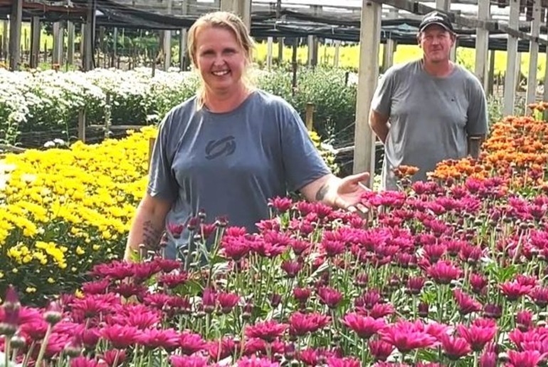 Cultivo de flores transforma propriedade rural em Vale Real e fortalece a renda familiar